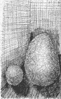 Pen drawing of egg stones